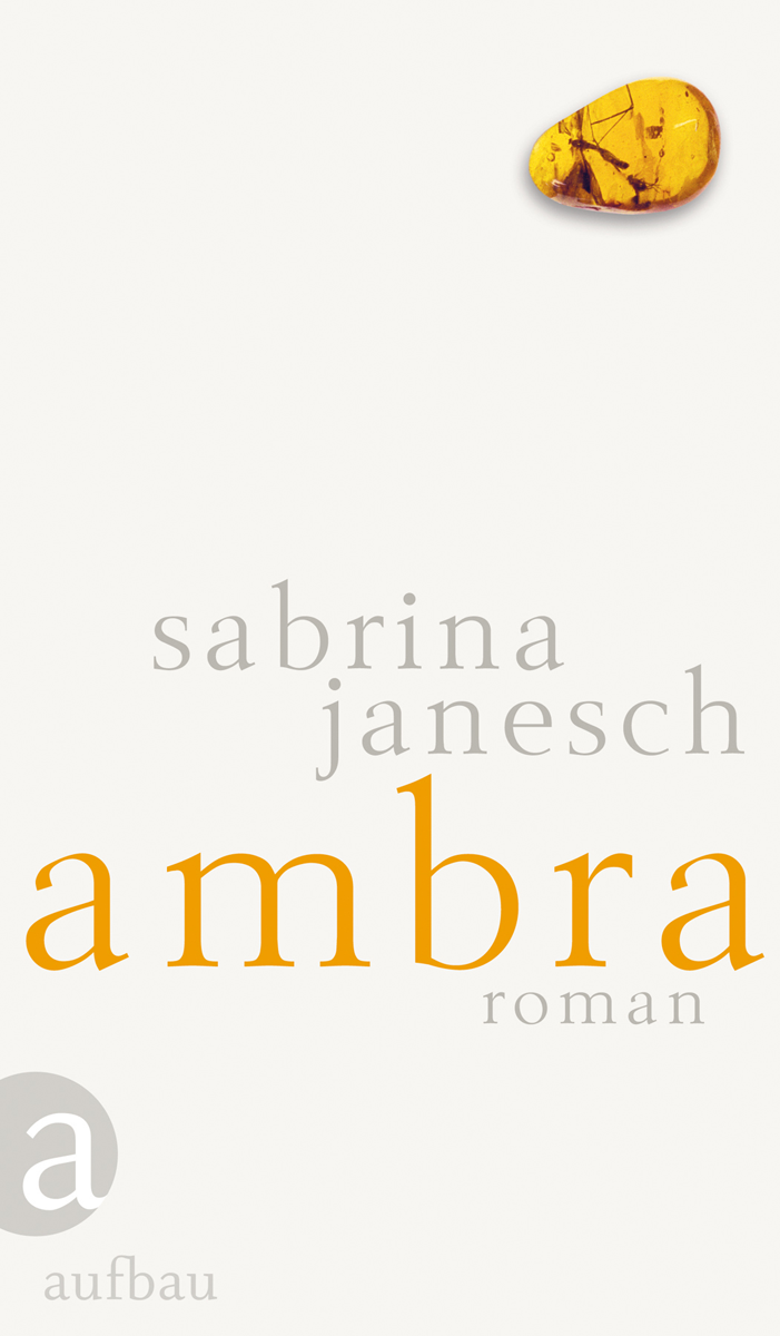 Buchcover des Romans "Ambra"